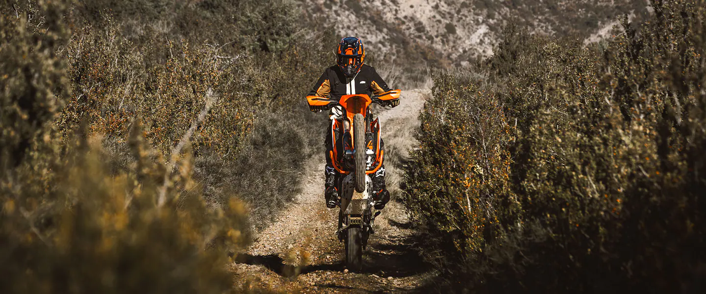 KTM 690 Enduro R 2026, vista 2